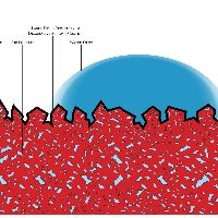 CerMark Example Graphic CerMark Example Graphic